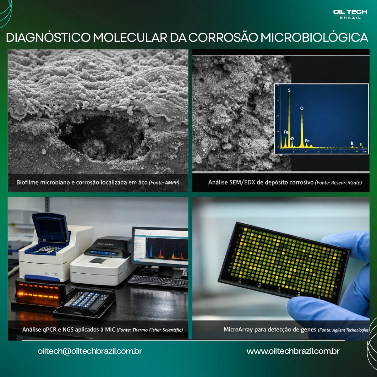 Biofilme e corrosão