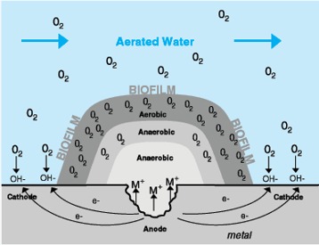 Análise laboratorial